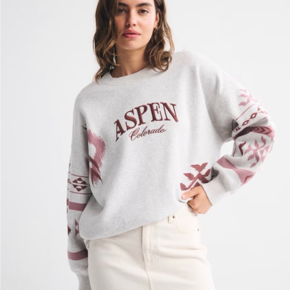 Abercrombie & Fitch Aspen Oversized Sunday Crew Sweatshirt Large